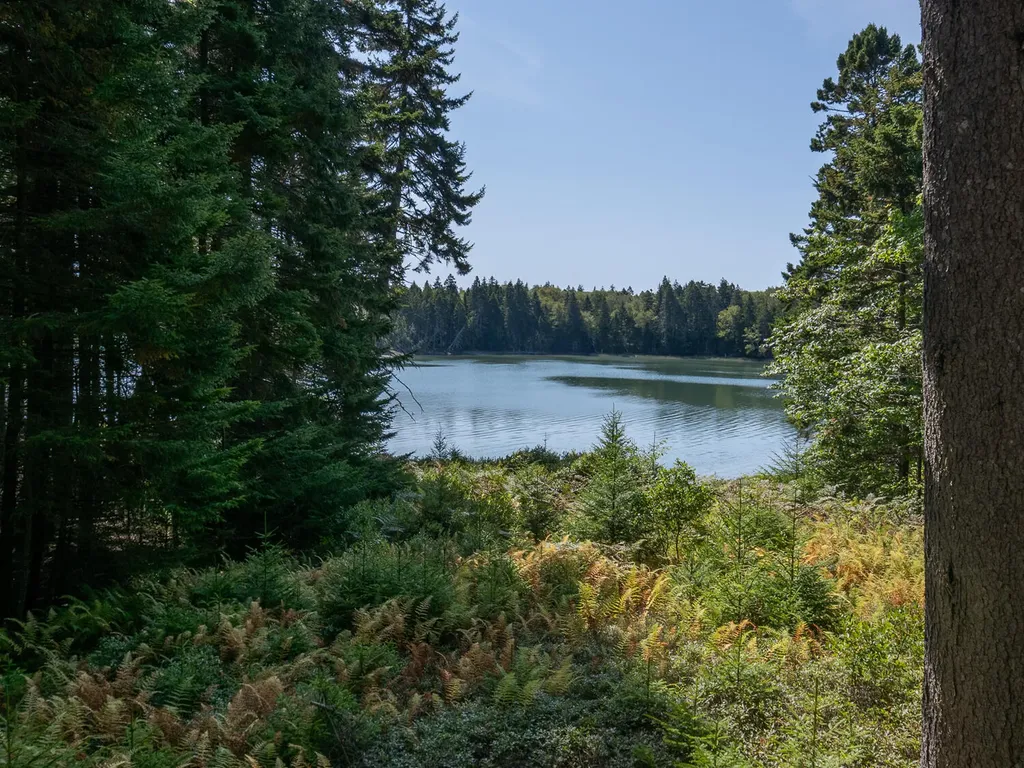70 Island Retreat Road Swans Island ME 04685