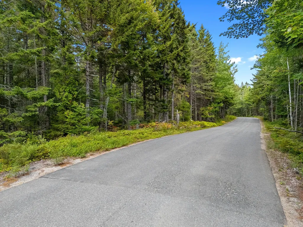Lot 1 Peninsula Road Gouldsboro ME 04607