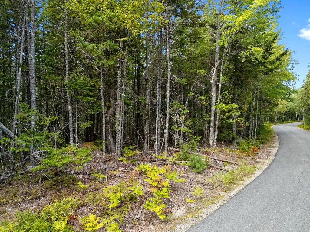 Lot 1 Peninsula Road Gouldsboro ME 04607