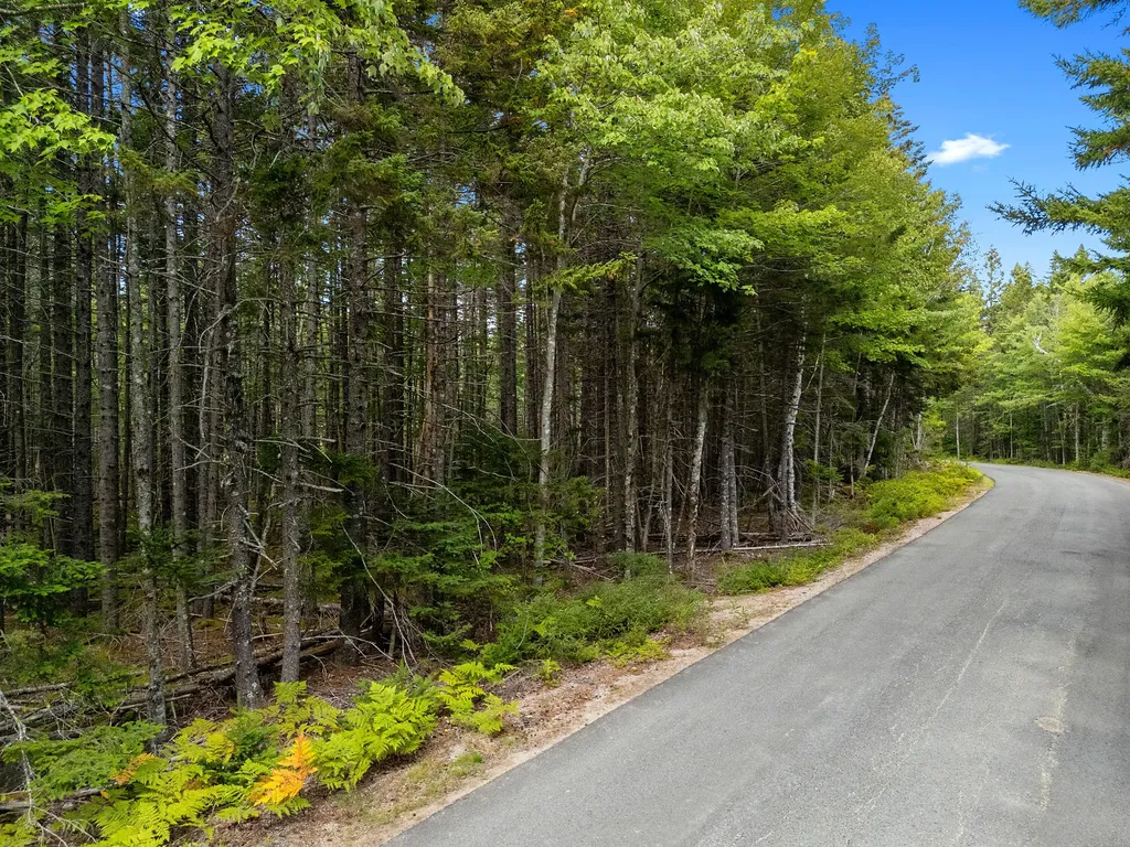 Lot 1 Peninsula Road Gouldsboro ME 04607
