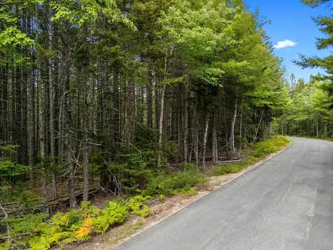 Lot 1 Peninsula Road Gouldsboro ME 04607