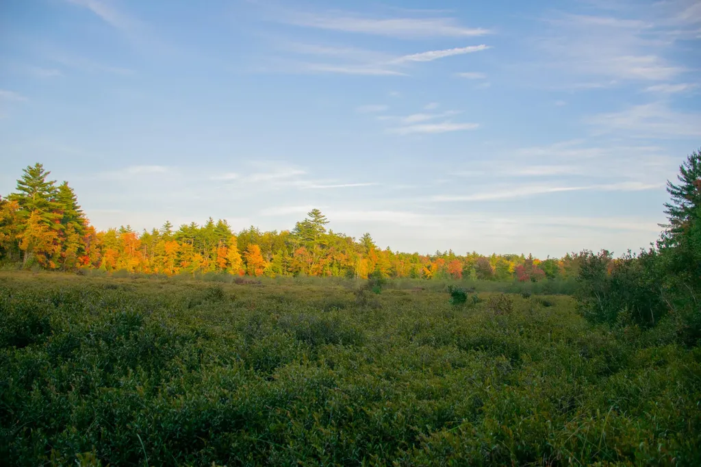 Tbd New Dam Road Waterboro ME 04061