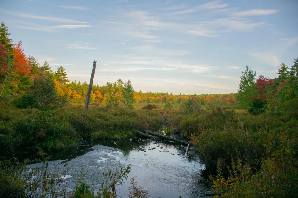 Tbd New Dam Road Waterboro ME 04061
