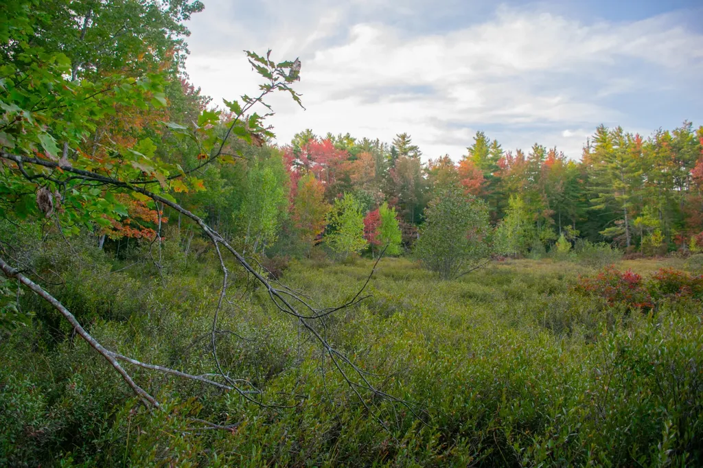 Tbd New Dam Road Waterboro ME 04061