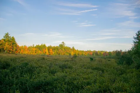 Tbd New Dam Road Waterboro ME 04061