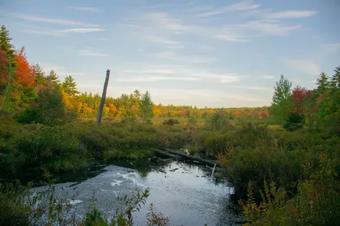 Tbd New Dam Road Waterboro ME 04061