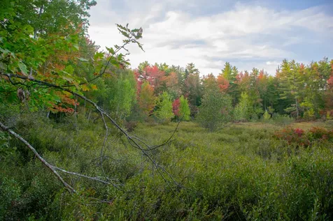 Tbd New Dam Road Waterboro ME 04061