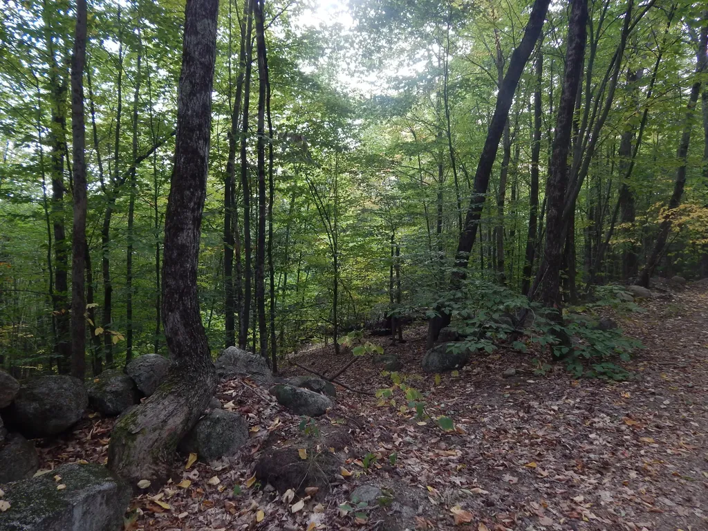LOT#R13L50 Corn Hill Road Brownfield ME 04010