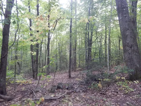 LOT#R13L50 Corn Hill Road Brownfield ME 04010