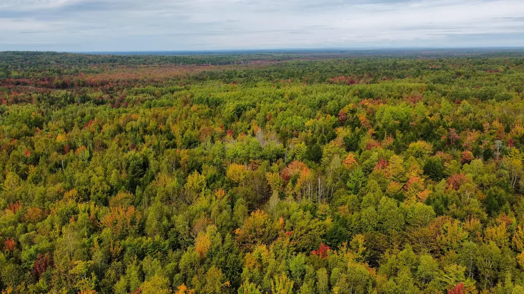 Lot 26 Wolf Run Trail Greenbush ME 04418