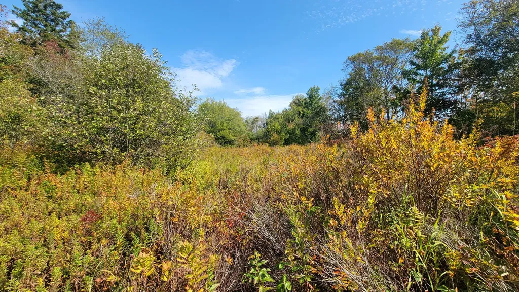 7 Deerfield Drive Jonesport ME 04649
