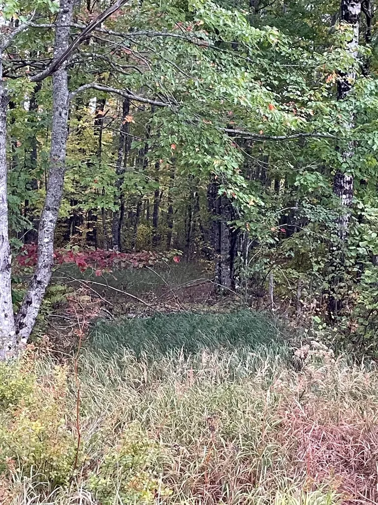 M1978L91G Airline Road Crawford ME 04694