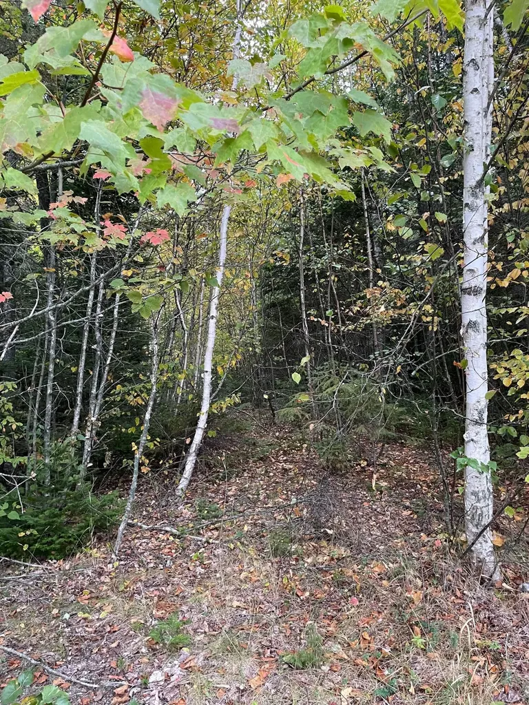 M1978L91G Airline Road Crawford ME 04694