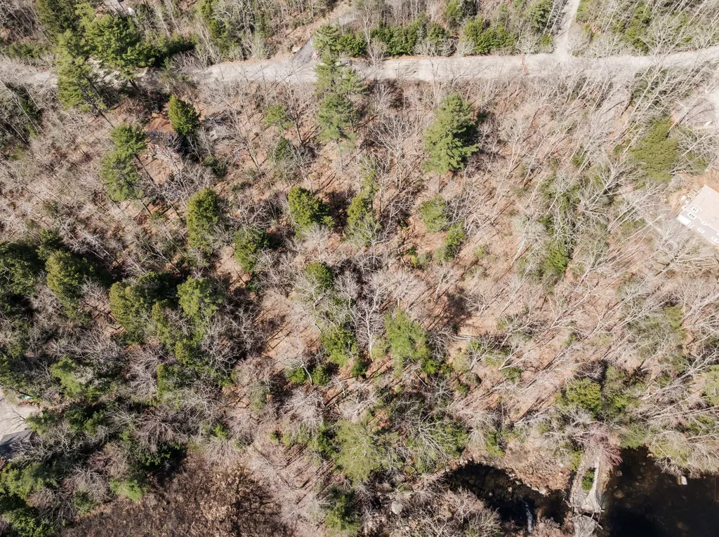 M035L11-14 Ring Bolt Lane Surry ME 04684