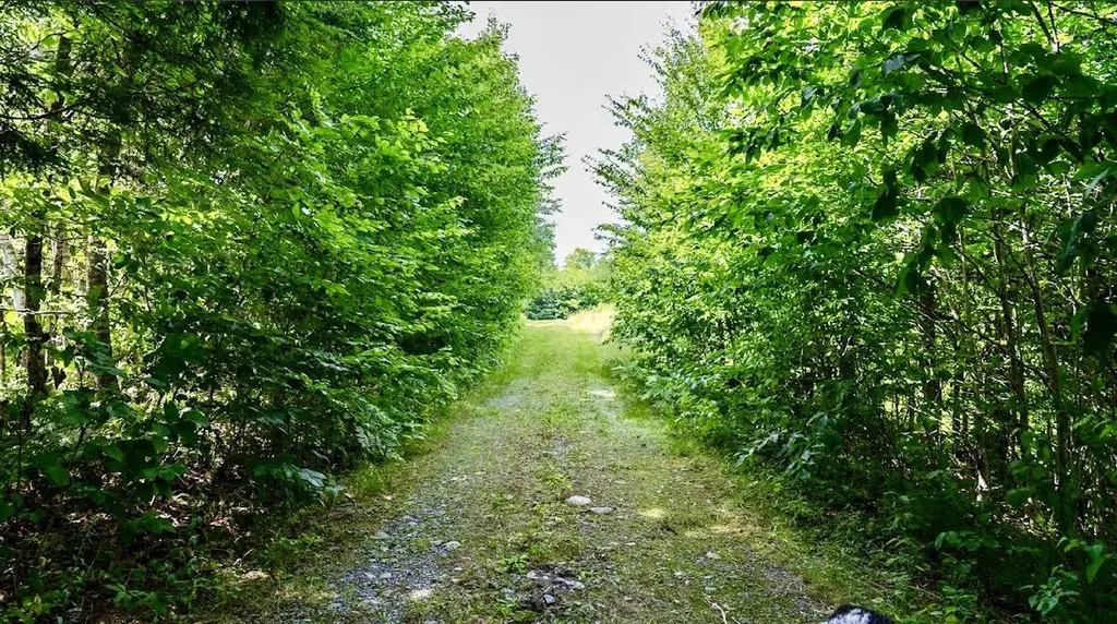 10 Phoebe Island Road Bowerbank ME 04426