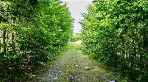 10 Phoebe Island Road Bowerbank ME 04426