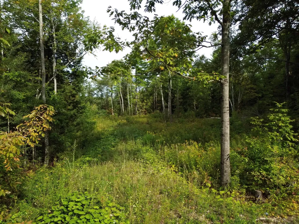 Lot 75 Bassett Road Winslow ME 04901