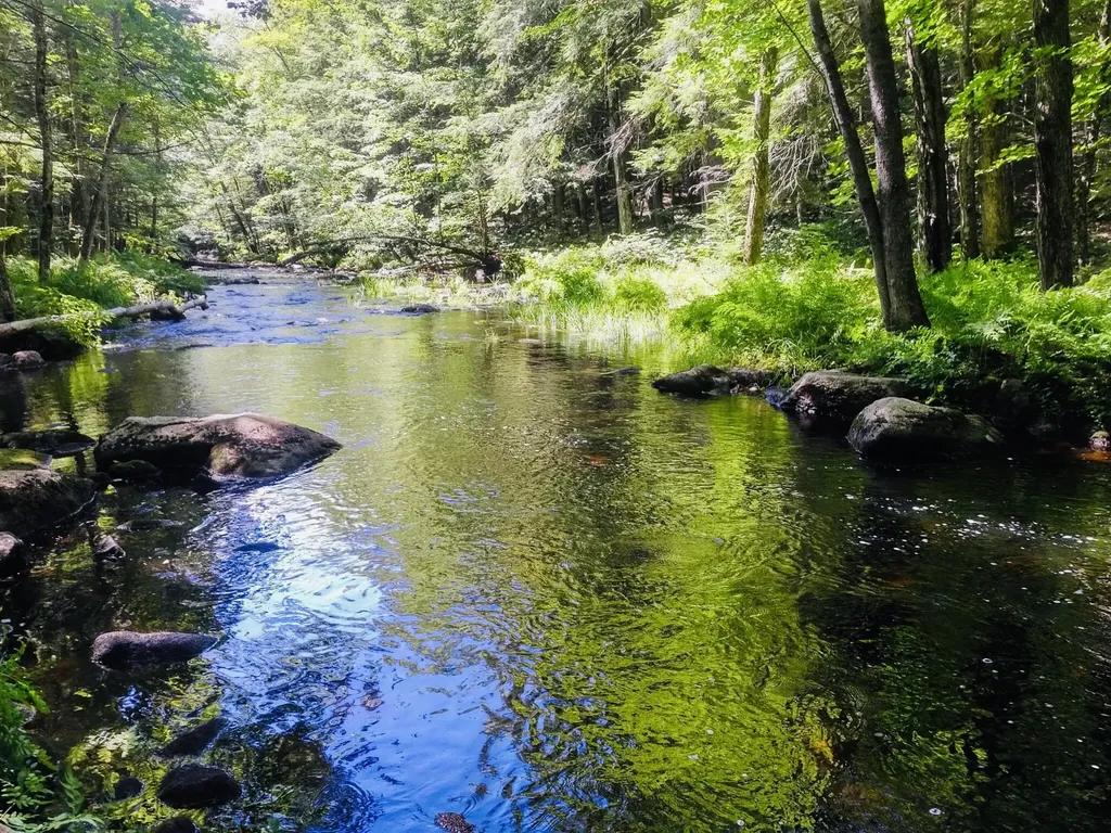 104 Eagle Crest Road Sebago ME 04029
