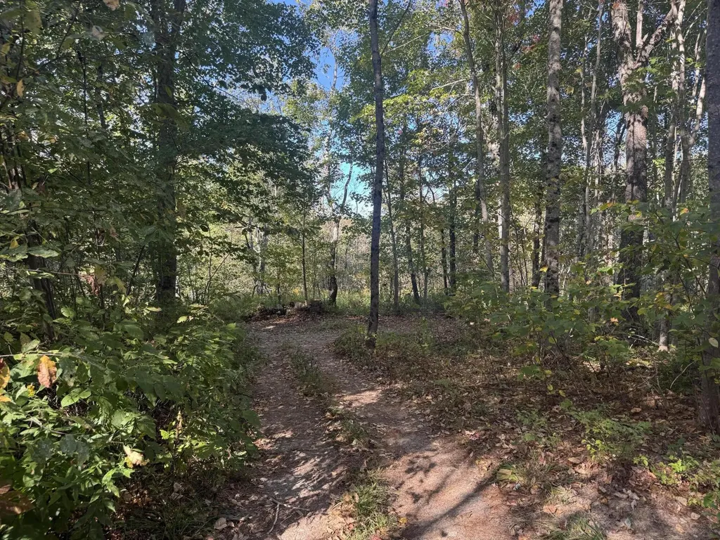 Lot 19-1 Green Valley Road Stockton Springs ME 04981