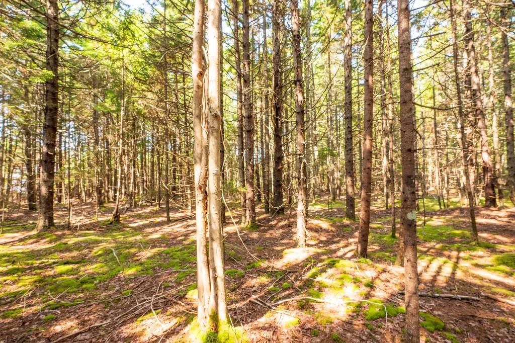 Lot 11 Nahanada Road Bristol ME 04539