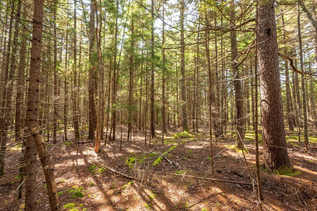 Lot 11 Nahanada Road Bristol ME 04539