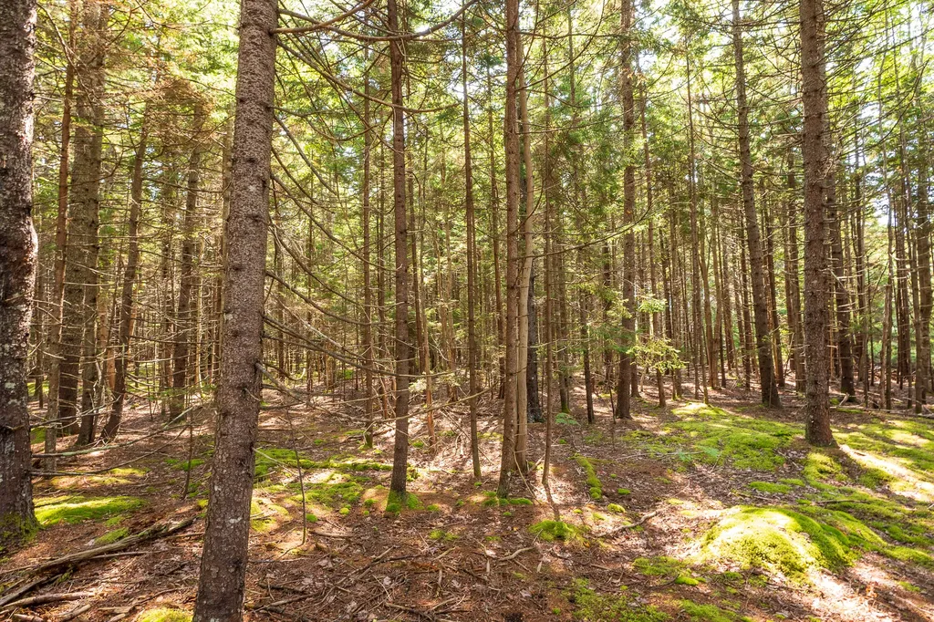 Lot 11 Nahanada Road Bristol ME 04539