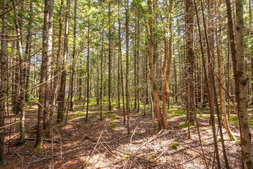Lot 11 Nahanada Road Bristol ME 04539