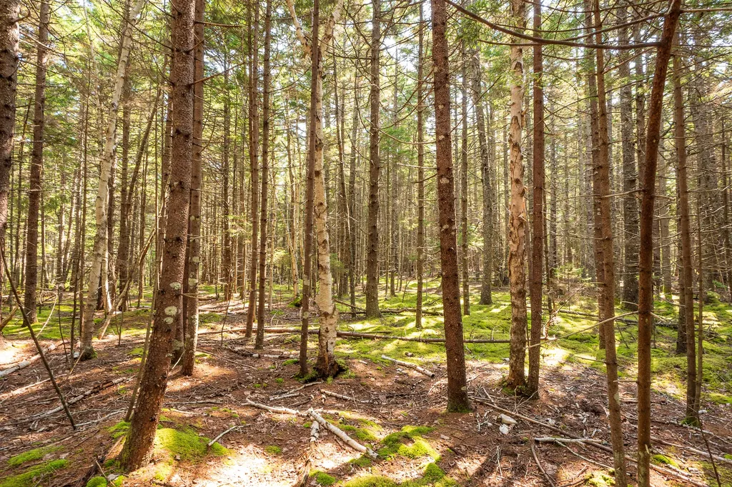 Lot 11 Nahanada Road Bristol ME 04539