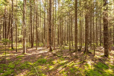 Lot 11 Nahanada Road Bristol ME 04539