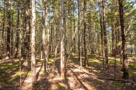 Lot 11 Nahanada Road Bristol ME 04539