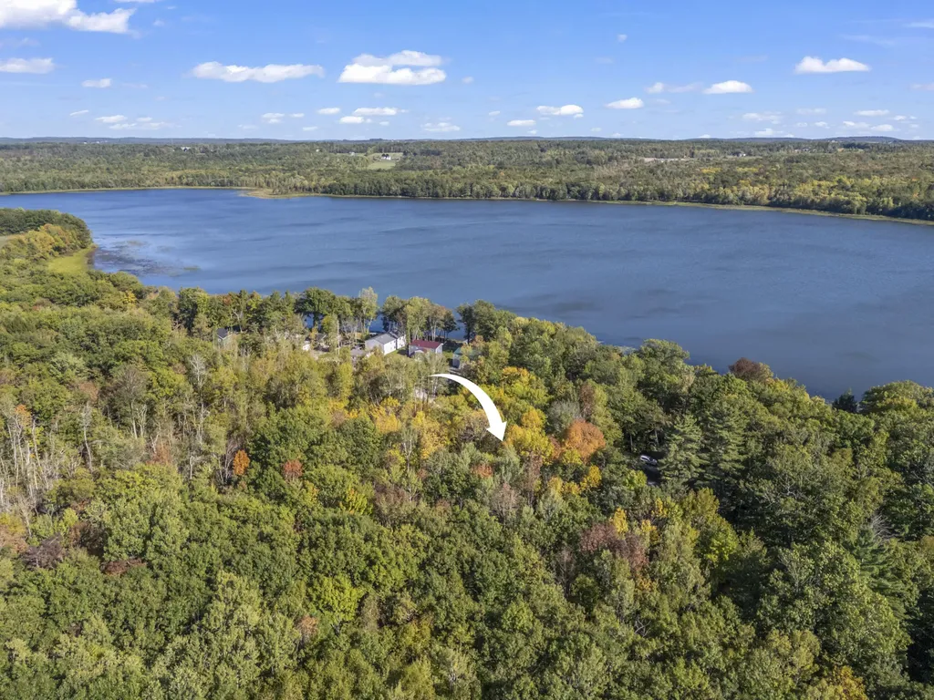 Lot #58 South Vigue Shore Road Albion ME 04910
