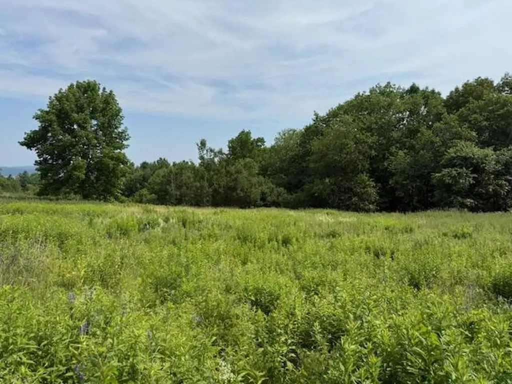 505 Bowden Point Road Prospect ME 04981