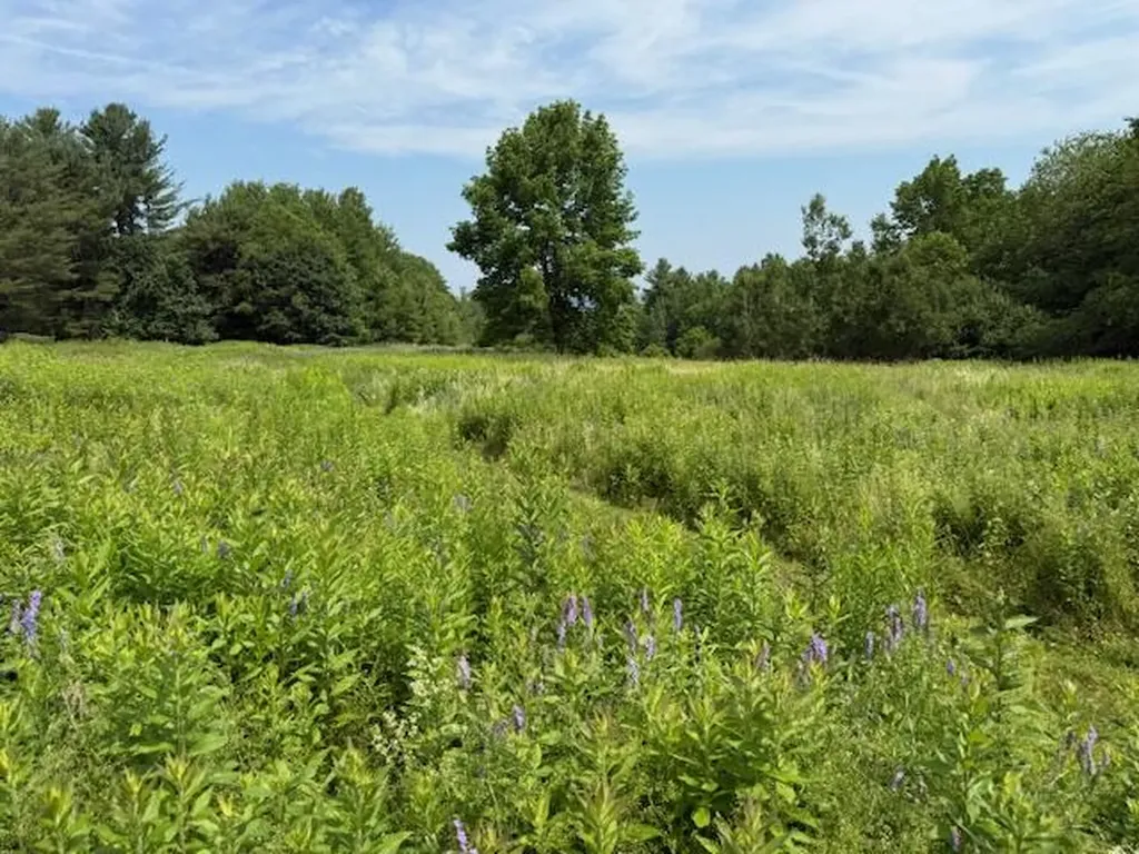 505 Bowden Point Road Prospect ME 04981