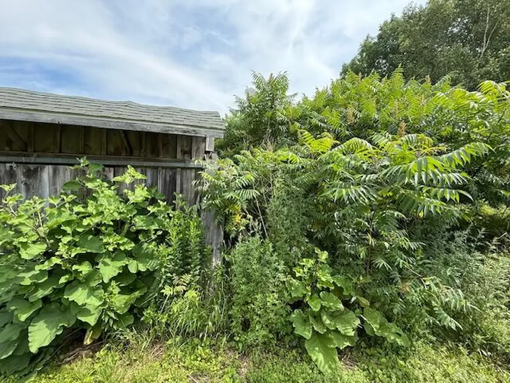 505 Bowden Point Road Prospect ME 04981