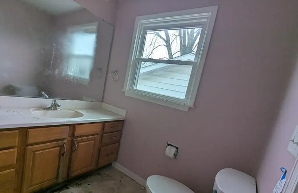 14271 Woodbury Road Woodhull Township MI 48840