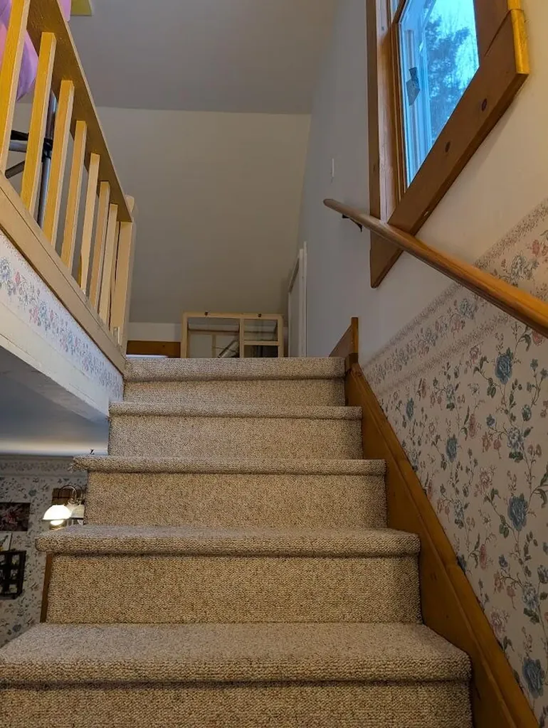 21737 Wilson Street Burt Township MI 49839