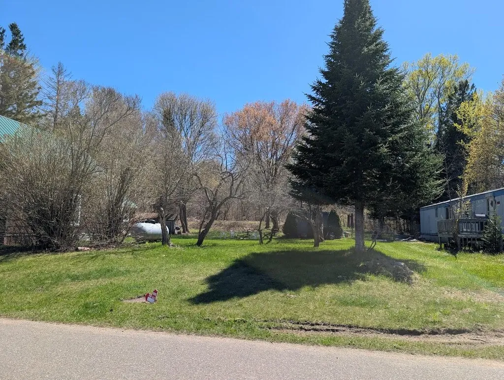 21737 Wilson Street Burt Township MI 49839