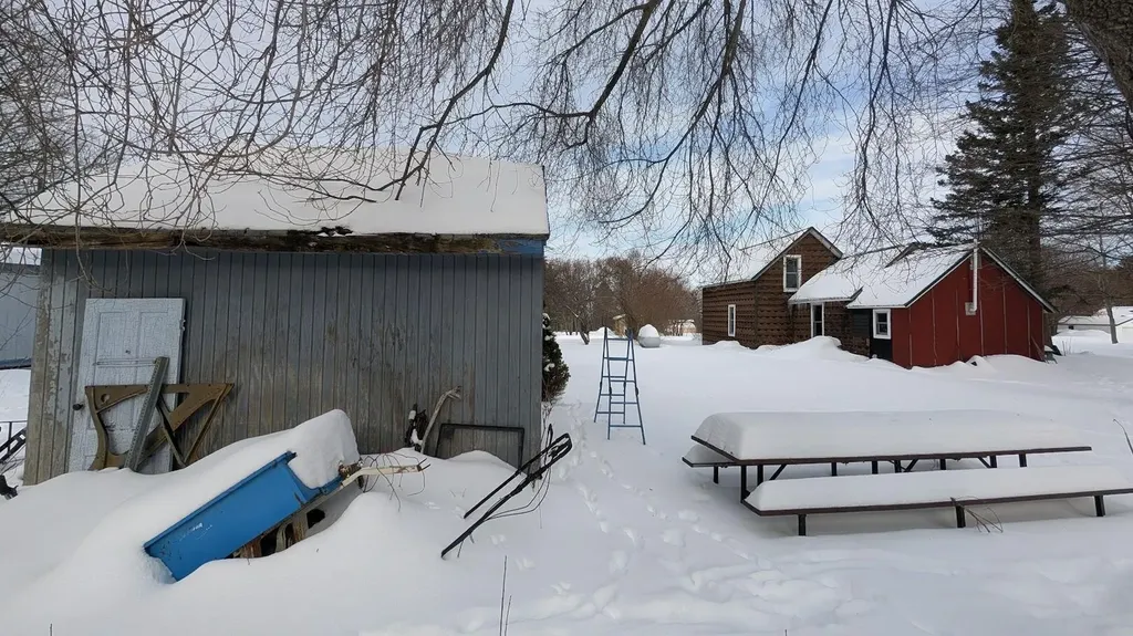 21737 Wilson Street Burt Township MI 49839