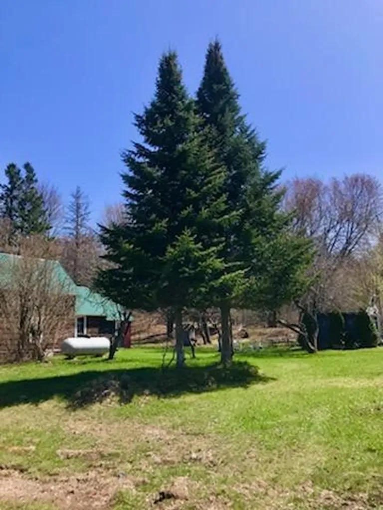 21737 Wilson Street Burt Township MI 49839