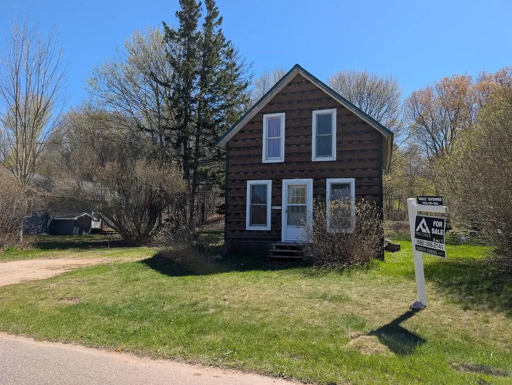 21737 Wilson Street Burt Township MI 49839