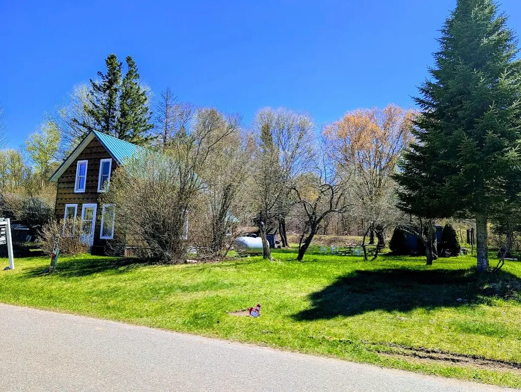 21737 Wilson Street Burt Township MI 49839