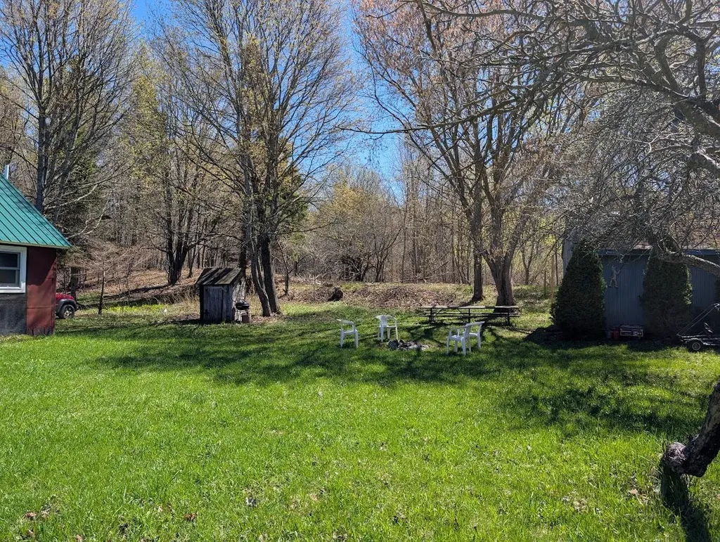 21737 Wilson Street Burt Township MI 49839