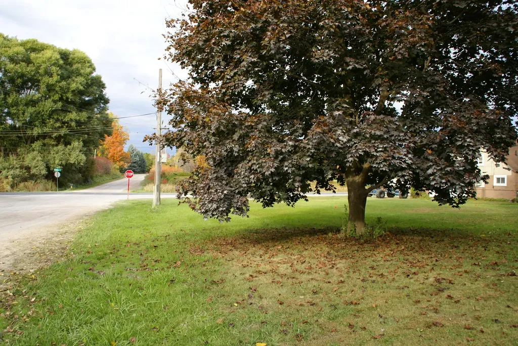7300 Pontiac Trail Salem Township MI 48178
