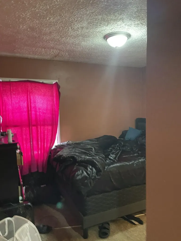 3756 19th Street Ecorse City MI 48229