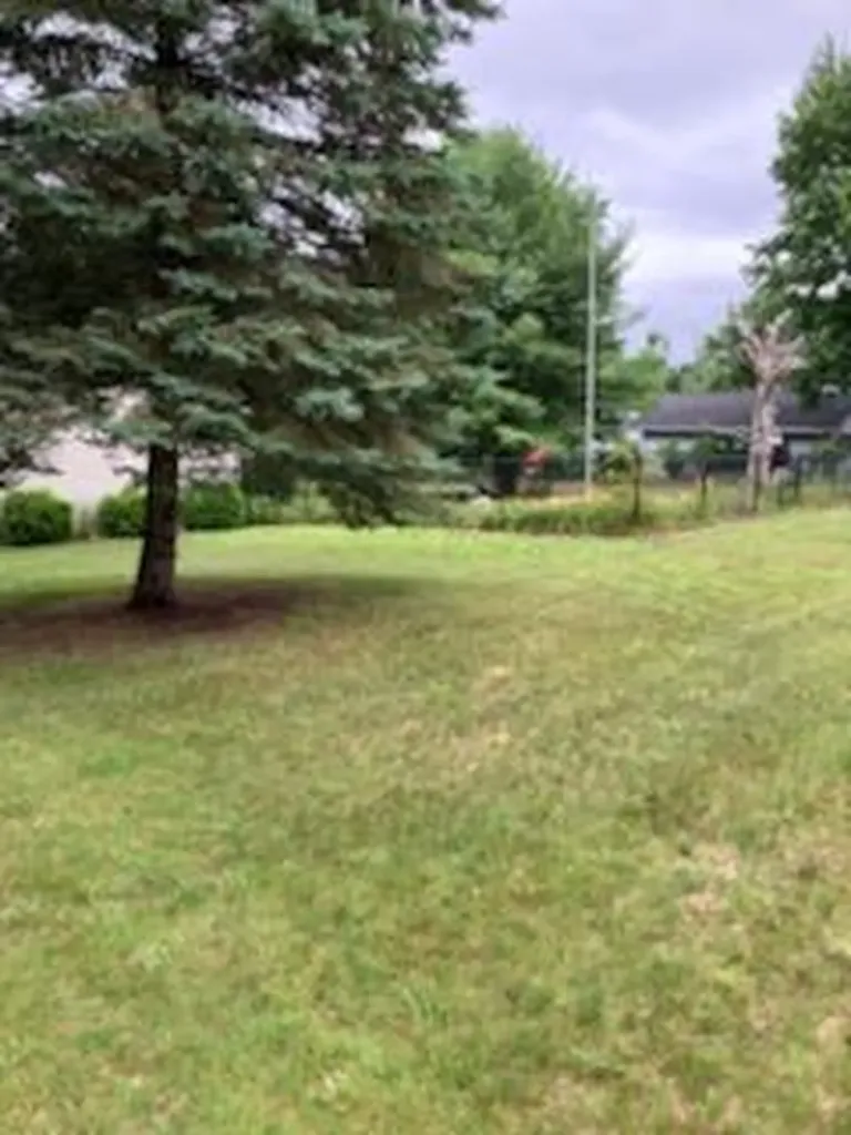 6620 Potter Road Bear Lake Township MI 49614