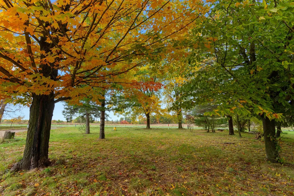 66301 County Road 681 Columbia Township MI 49057