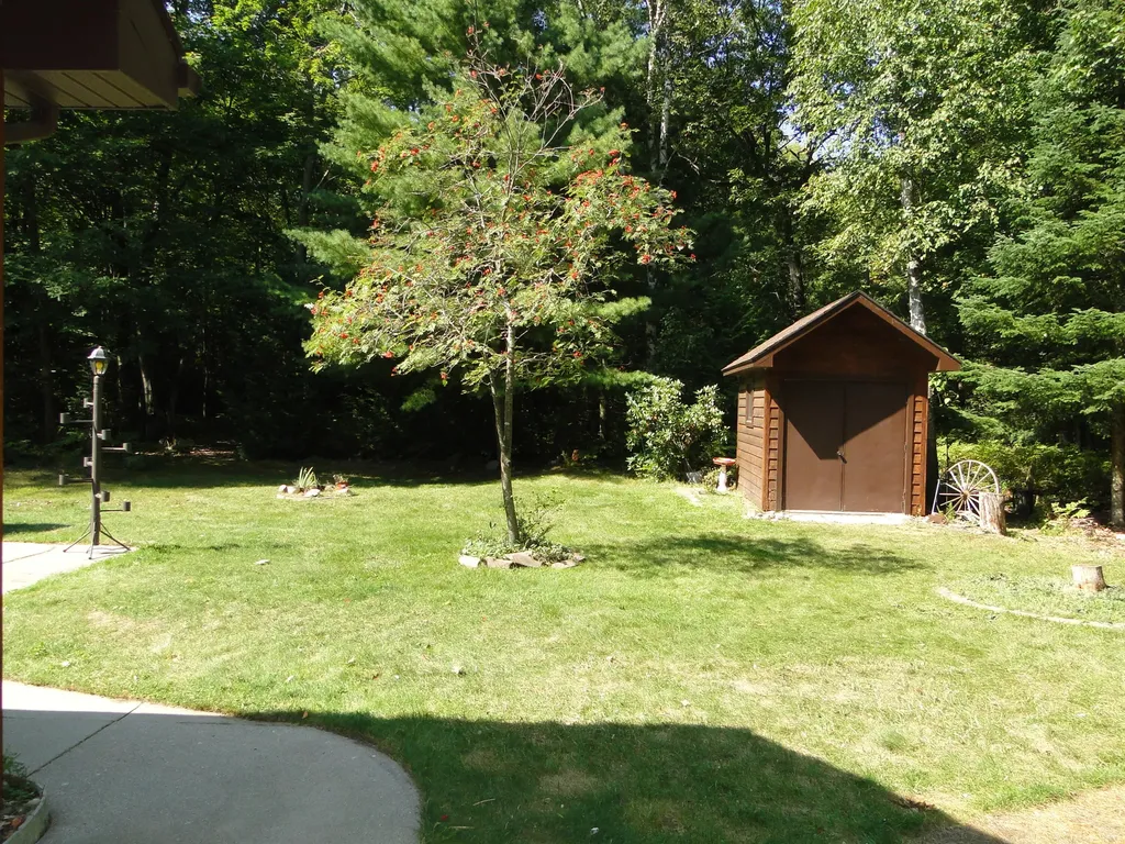 4873 Birchwood Trail Oscoda Charter Township MI 48750