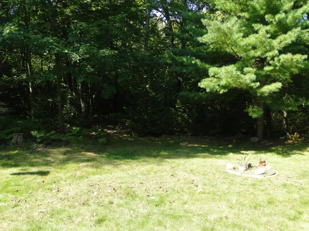 4873 Birchwood Trail Oscoda Charter Township MI 48750