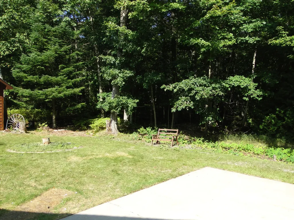 4873 Birchwood Trail Oscoda Charter Township MI 48750