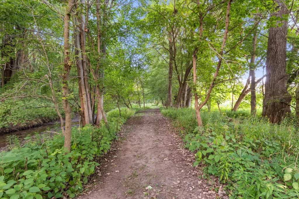 4641 E Allen Road Locke Township MI 48892